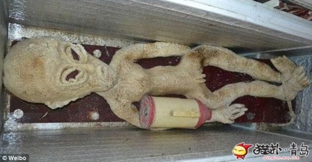 Uzaylı olduğunu iddia ettiği buzdolabı içindeki sıra dışı görünümlü nesne ile poz veren Li, mart ayında evinin yakınlarındaki bir nehir üzerinde onlarca tanımlanamayan uçan cisim (UFO) gördüğünü söyledi.