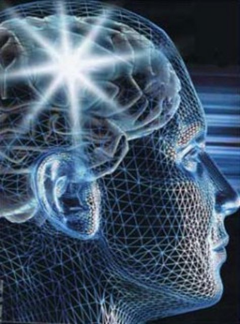 Newsweek'te yer alan ve Rita Urgan tarafından çevirililerek Cumhuriyet'in Bilim Teknik ekinde yayımlanan (02.03.2012) yazı şöyle:  - İşte yapacaklarınız!