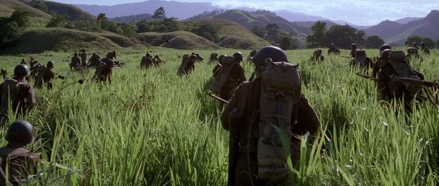 En İyi Uyarlama Senaryo Adayı(Terrence Malick), En İyi Sinematografi Adayı,