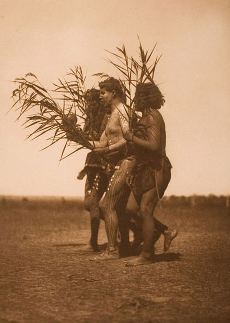 Nihayetinde Curtis'ten geriye aralarında meşhur Apaçi kabilesi şefi Jeronimo'nun fotoğrafının da olduğu 40 bin fotoğraf, 10 bin ses kaydı kaldı.