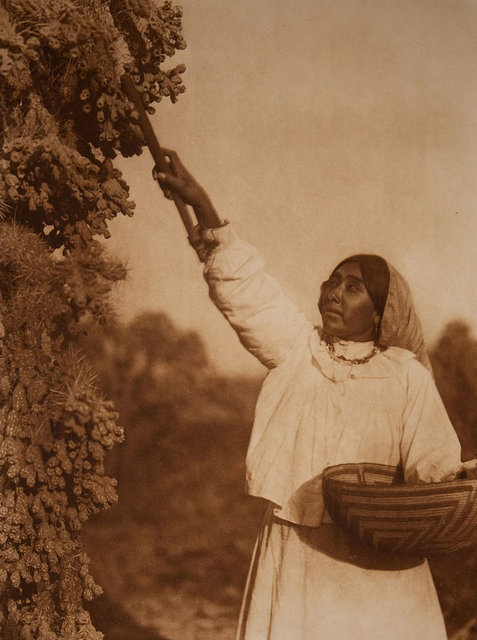 Yaklaşık 3 bin fotoğraftan oluşan bu koleksiyonda, Sioux Chiefs Red Cloud ve Joseph ve Apache'lerin lideri Geronimo gibi Kızılderili halkının ünlü isimleri de yer alıyor.