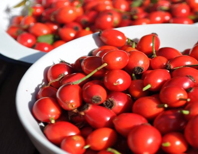 Kuşburnundaki C vitamini, portakalınkinin 8 katı kadardır. -