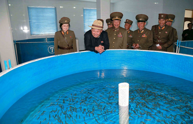 Geçtiğimiz günlerde bakanı askere yeterli pilav vermediği için kurşuna dizdiren Kim Jong Un, somon balıklarını büyük bir merakla izledi.