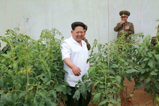 "Terminal 2 inşaatının son aşamasında kusurlar ortaya çıktı. Çünkü tasarımcılar, partinin mimari güzellik anlayışını göz önünde bulundurmamışlar."