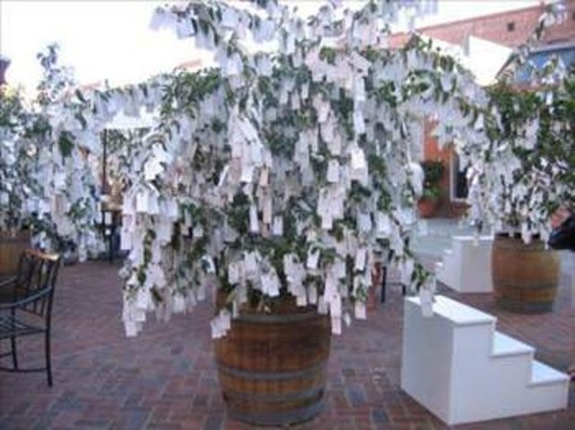 HOLLANDA - Flemenk düğünlerinde gelinle damadın masasının yanına bir ağaç yerleştirilir ve gelen misafirler gelin ve damat için dileklerini yazarak bu ağaca asarlar.