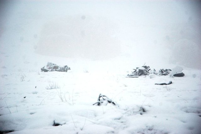 Sabah kadar süren çalışmaların ardından şehitlerin cesetleri toplanarak otopsi için Malatya Adli Tıp Kurumu morguna kaldırılırken sabahın ilk ışıklarında ise yaşanan kazanın dehşeti gün yüzüne çıktı.