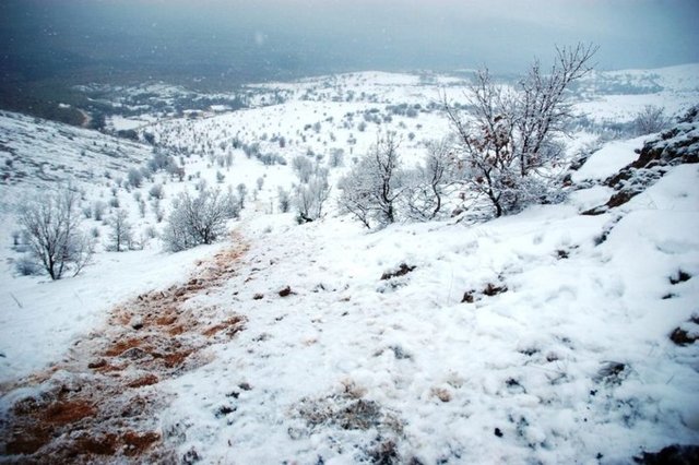 Uçakların kaybolmasından yaklaşık 1 saat sonra iki uçağında enkazlarına dağlık bir alanda rastlanıldı.