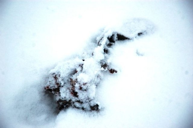 İŞTE KAZANIN İZLERİ...