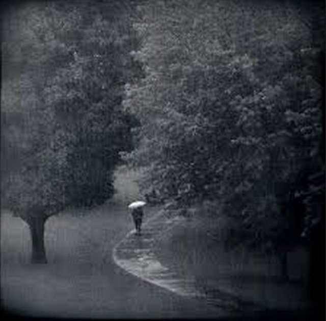 12- Dundee Üniversitesi'nde yapılan bir araştırmaya göre; çocukluk döneminde sadece siyah-beyaz televizyon izleyerek büyüyenlerin (yani 1960 yılından önce doğanların), siyah-beyaz rüya görme olasılığı renkli televizyon izleyenlerden daha yüksek.