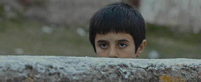Doğan İzci - Sivas