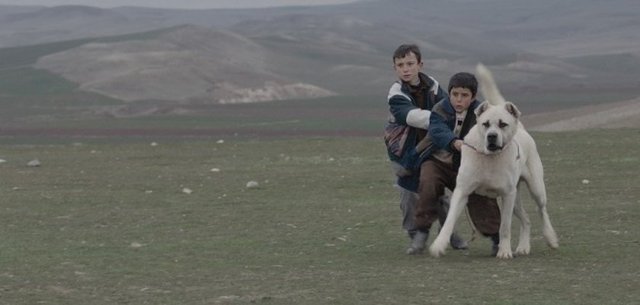 Kaan Müjdeci; Sivas
