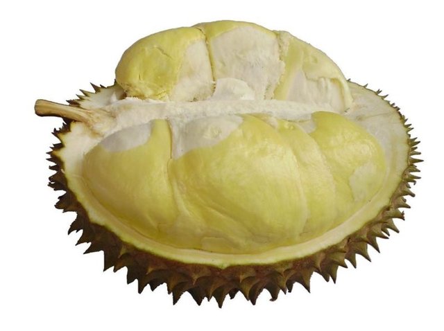 Tropik bir meyve olan durian, dış görünüşü ve ağır kokusuyla alışılmamış bir meyve türü olmasına rağmen lezzeti nedeniyle tercih ediliyor.