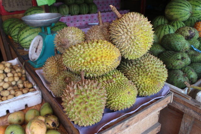 Endonezya'da "duren", Tayland'da da "thurian" ismiyle bilinen bu meyve "meyvelerin kralı" olarak niteleniyor. -