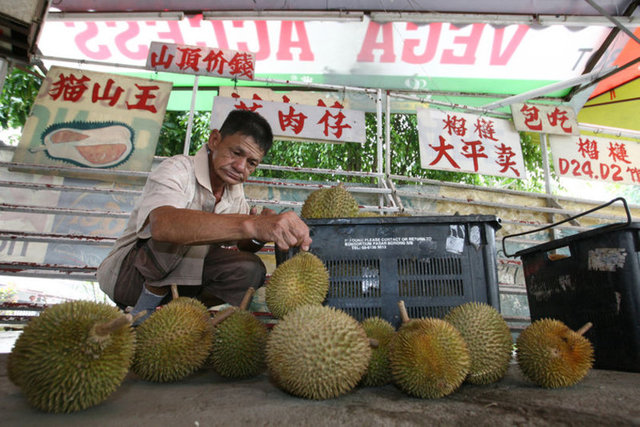 Durian Singapur'da çok önemli. Ülkenin sembolü sayılan opera binası durianın biçiminde yapılmış. Ayrıca elinizde ve çantanızda Durian varsa otobüse ya da metroya binemiyorsunuz. Durian'aya bu kadar önem verilmesinin nedeni "cennet" kısmıyla ilgili.