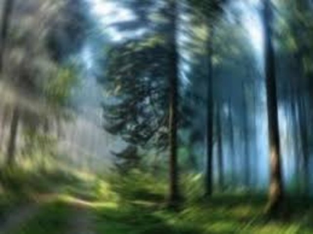 Bozulan dengenin parlak ışınlar, hayaller, vücut dışına çıkma hatta gerçeğin ötesine geçme duyguları gibi deneyimleri tetiklemesiyle açıklanabiliyor. -