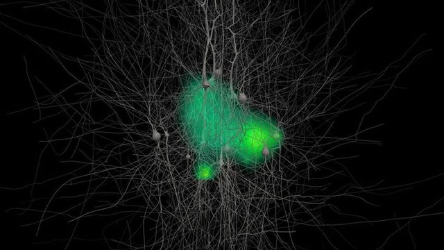 Zalika Klemenc-Ketis yönetimindeki Slovenyalı araştırmacılar, hastane dışında kalp krizi geçirip yaşama geri döndükten sonra hastanelerde yoğun bakıma alınan 52 hasta ile yüz yüze görüşmeler yapmışlar.