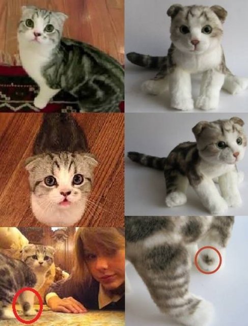 Ayırt edici leke veya izler havalı boya tabancasıyla ekleniyor.  Kentucky temelli şirket müşterilerine isteklerine göre düzenleyebilmeleri için bir dizi seçenek sunuyor.