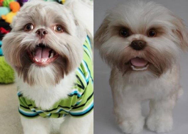 Olağan yapım süresi 8 ay olmasına rağmen acil istekler 6 hatta 4 haftada ekstra 50 veya 100 dolar alınarak gönderilebiliyor.