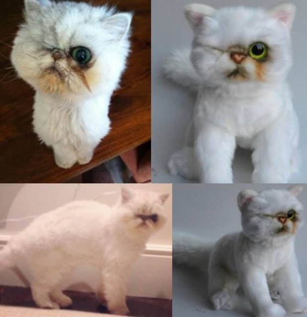 Cuddle Clones'un kurucu ortağı Jennifer Graham, fikrin kendisine 2005 yılında geldiğini ancak evcil hayvanı  Great Dane öldükten birkaç yıl sonra gerçekten işe koyulduğunu söylüyor.