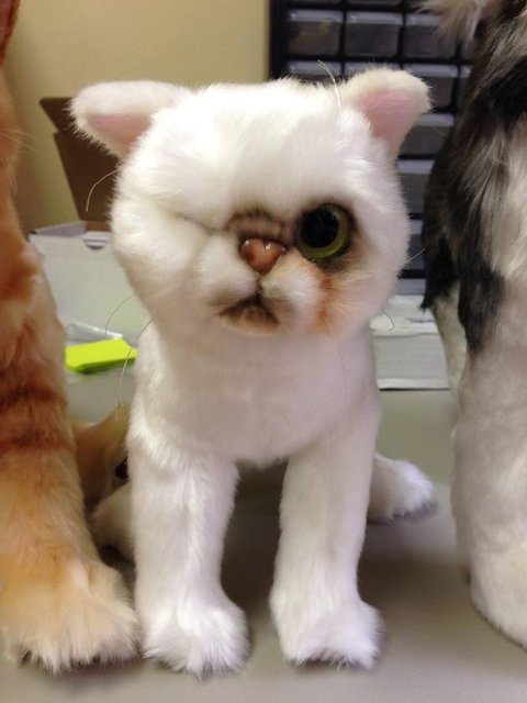 Peluş hayvanlar ayakta, oturan veya uzanan, kulakları eğik, havada veya dilleri dışarda şeklinde yapılabiliyor.