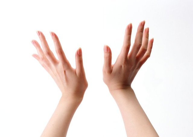 Ellerimiz sürekli dış ortamla temas kurmamızı sağladığından çok çeşitli tahriş edici ve alerji yapabilecek maddeye en çok maruz kalan organımız.