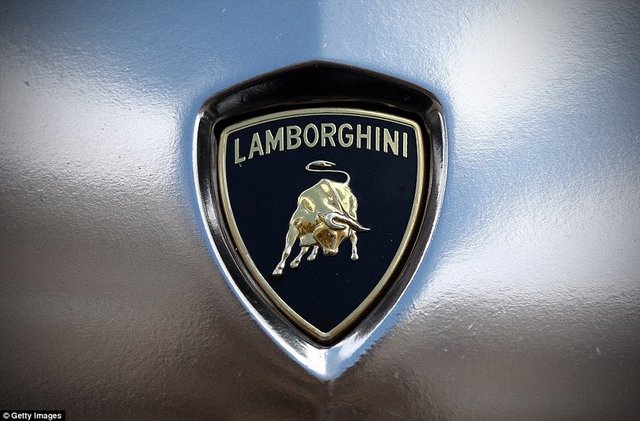 Özel kaplamalı Lamborghini'den bir kare...  -