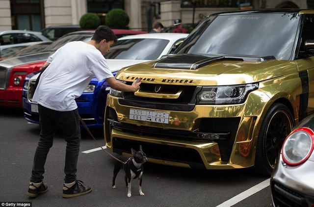 Köpeğiyle yürüyüşe çıkan bir adam da aynı araca ilgi gösteriyor.  -