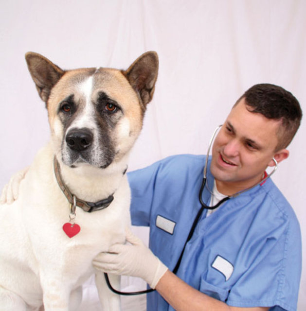 Fakat ilaçların etki ve yan etkileri hayvanın türüne göre değiştiğinden, bilinçli ilaç kullanımı için mutlaka bir veterinere sormak gerek.