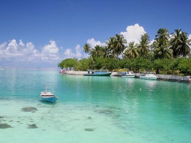 Dünyada en çok nereye gitmek isterdiniz?