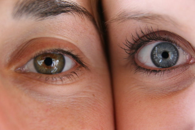 Deneysel Psikoloji Bölümü İnsanların neden iki adet gözü vardır?