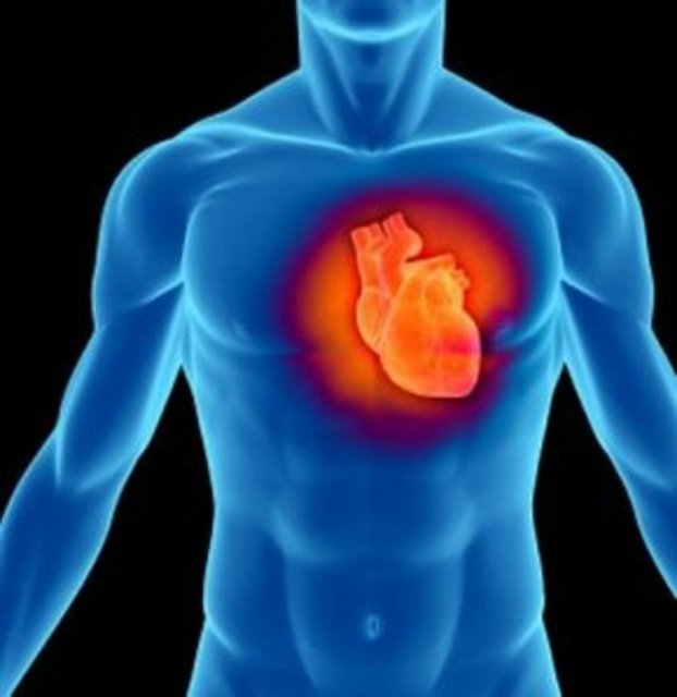 14- Baypas - Köprüleme