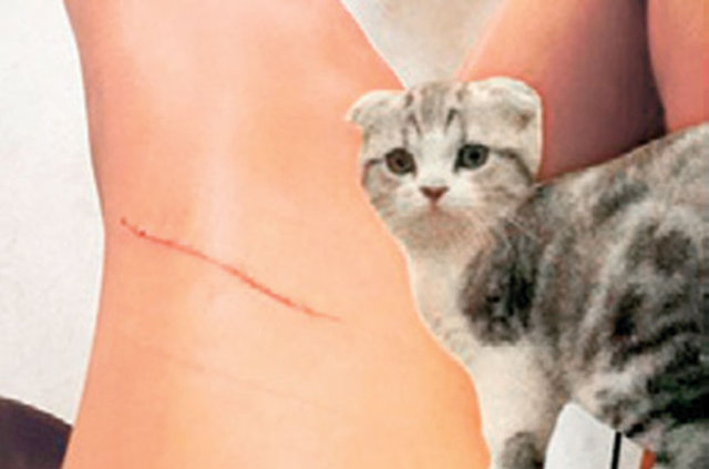 Kedisinin oyun oynarken birden asabileşerek kendisini tırmaladığını Instagram hesabından açıklayan Swift, - "Yaramaz kedi, ben seni sadece sevmeye çalışıyordum ama şimdi bana 40 milyon dolar - borçlusun" diye yazdı.