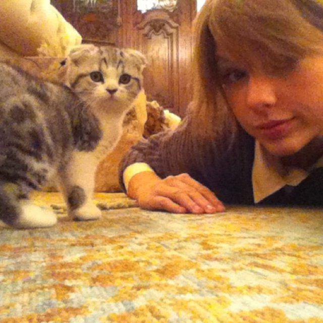 Taylor Swift�in başı kedisiyle belada, Kötü kedi Meredith! 1 Diğer