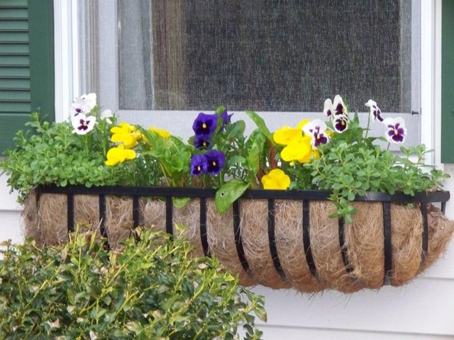 Pencerelere kadar gitmişken cam önünü dekore etmekte fayda var. Pek çok süs bitkisi bahar aylarında filizlenir ve camlarınızın önünde adeta bir renk cümbüşü oluşturur. En yakın yapı markete gidip istediğiniz saksıları ve çiçekleri almanın tam zamanı!