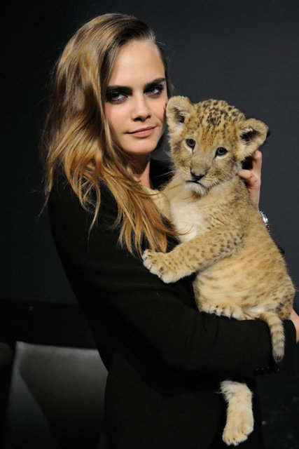 Amanda Knox'un hikâyesini anlatan filmde olayı araştırmak için İtalya'ya giden bir gazeteci ve belgesel yönetmeninin gözünden cinayete ve sonuçları konu ediliyor.