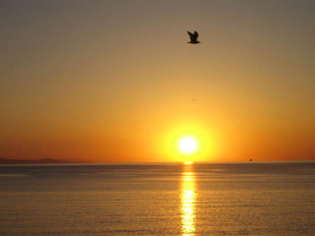 5. Güneşin batıdan doğması