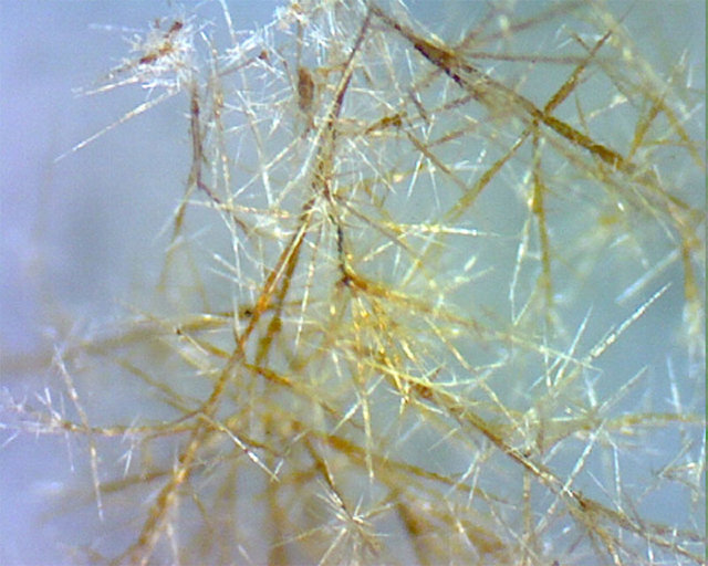 2-Bir elektron mikroskobundan bakıldığında kafein böyle görünüyor - Kafein, boyutu yaklaşık 0.0016 inci oluşturan doğal minik kristaldir.