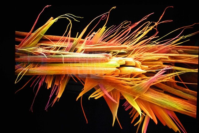 Bu resim 2012 yılında ''farklı bir perspektiften ilk tanınmaz olan şey'' olarak bir bilim fotoğrafı ödülünü kazandı.