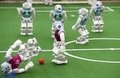 Robotlar bu sefer de sahaya çıktı!