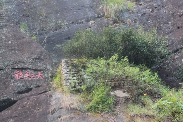 Dünyada sadece Çin'in Quang Ho bölgesinde bulunan dağlık alanda yetişiyor. -