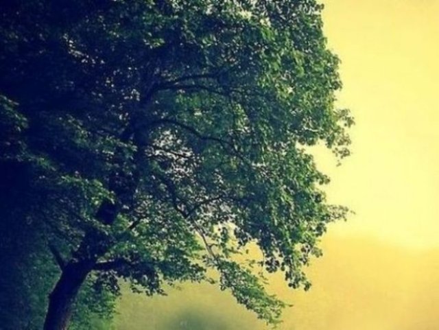 İnsanın sadece 'La ilahe illallah' derken dudağı kıpırdamaz.