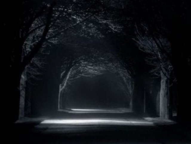 Karanlıktan korkmak, yüksek IQ belirtilerinden biridir.