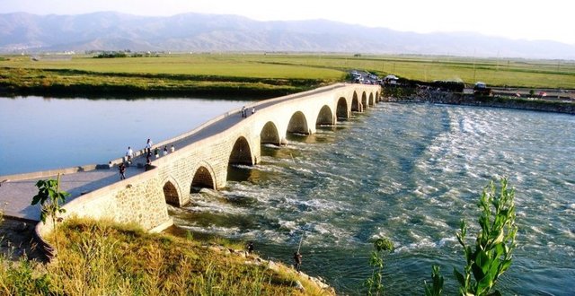 Muş - Antidepresan: 4.442 - %1