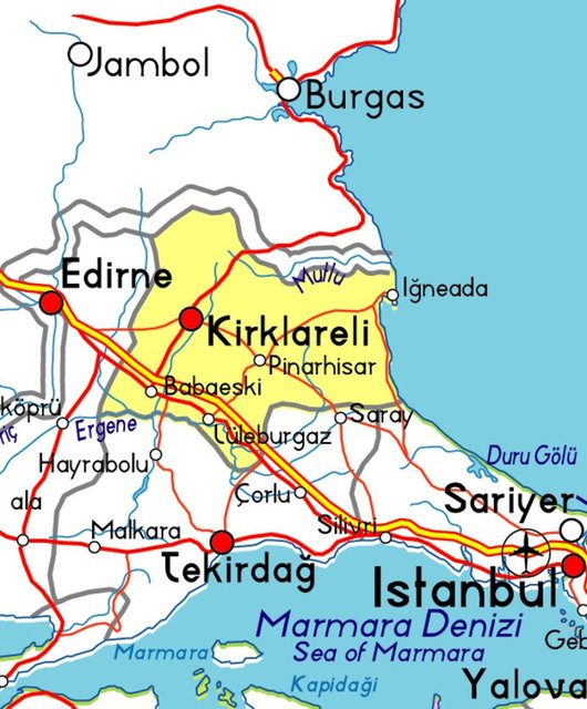Kırklareli - Antidepresan: 3.924 - %1.1