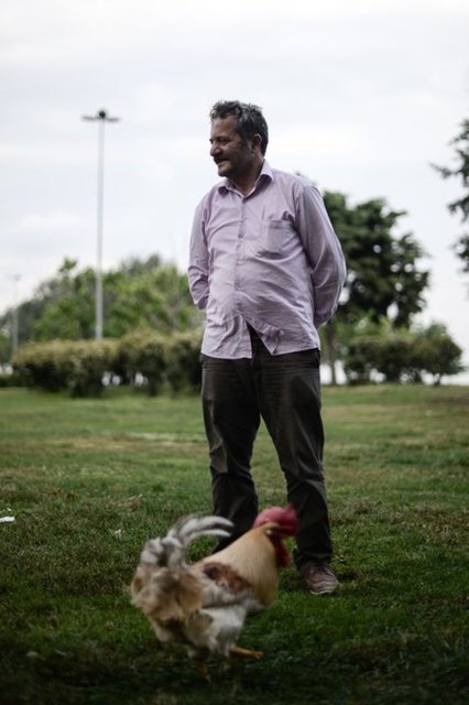 Mezarın başında bir süre dua eden Öztel, duygularını şöyle dile getirdi:"Behlül, nazar nedeniyle öldü. Behlül'ü yaklaşık 10 yıldır evladım gibi besliyorum. Evdekiler de çok üzgün. Herkes çok istedi ama kimseyi cenazesine getirmedim. 10 yıldır besliyorsun, evlat gibi, çocuk gibi olmuştu benim için. İnsana bir acı duygu geliyor. Behlül'e çok alışmıştım. Allah rahmet etsin. Ailecek üzüldük ama veren de alan da o. Allah'ın takdiri... O kadar uğraştık, doktorlara götürdük. Bir horoz daha beslemek istiyorum."