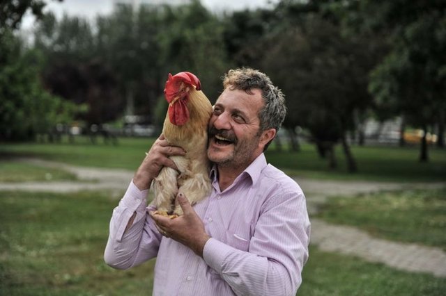Çocuklarının pazardan aldığı civcivleri büyüterek birini yaşatmayı başaran Ahmet Öztel, kendine evcil hayvan olarak horozu seçmişti. 