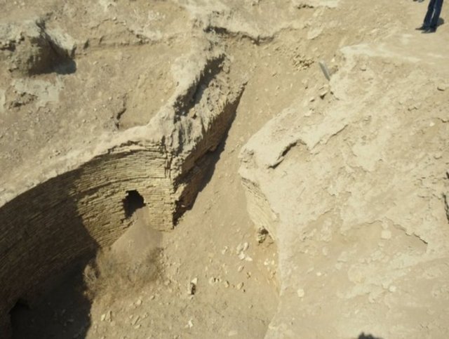 Türkmenistan'ın Merv kentindeki Selçuklu Sultanı Alparslan'ın türbesini ortaya çıkarmaya yönelik yürütülen kazı çalışmalarının eş başkanlarından Selçuk Üniversitesi Edebiyat Fakültesi Öğretim Üyesi Prof. Dr. Osman Eravşar, açıklamalarda bulundu.