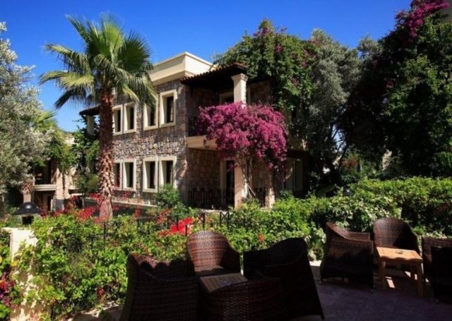 Otel Zeytinada, Bodrum'da huzurlu atmosferi, otele adını veren ada havuzu, botanik bahçesi ve evinizi aratmayacak konforu ile, benzersiz bir tatil sunuyor. Otelin en büyük özelliklerinden biri, yöresel taşlardan yapılmış olan bina duvarları.