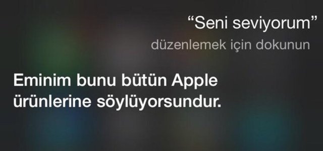 Siri ile Türkçe konuşmaya başlayan iPhone kullanıcılarının paylaşımları sosyal medyada günün konusu oldu.