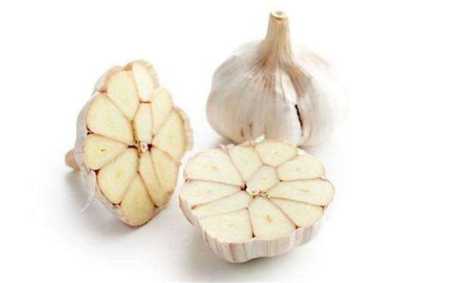 Her gün sarımsak yerseniz, bağışıklık sisteminiz güçlenir. Soğuk algınlığına yakalndıysanız sarımsak çayı için. Doğranmış ya da kıyılmış sarımsakları birkaç dakika suda bekletin ve sonra süzgeçten geçirip için.